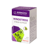 SIDDHAYU Winostress (успокоительное средство) капс №60 БАД