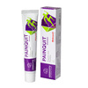 SIDDHAYU Painquit (Панквит) мазь 30г (аюрведическое, лечение мышечной боли)